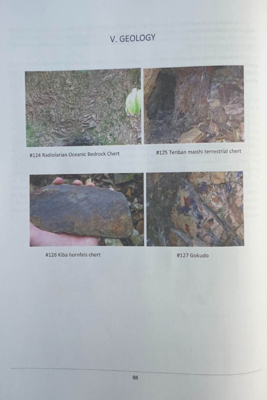 Printed page 88 from the book